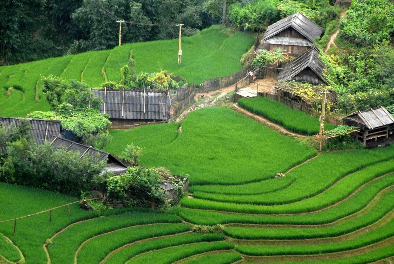Nusmile'S Hostel And Travel ฮานอย ภายนอก รูปภาพ